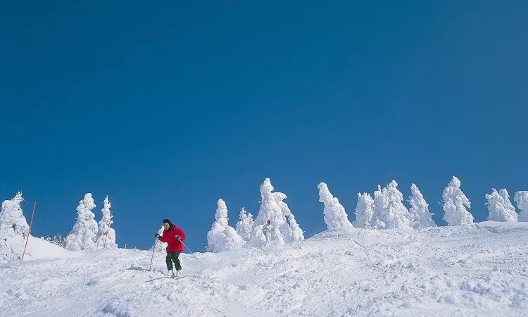 青森滑雪场