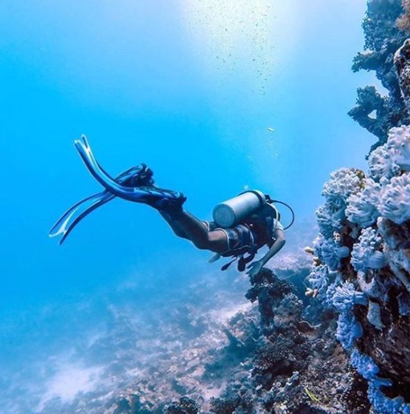 斐济潜水