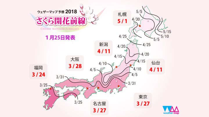 2018日本樱花开放时间