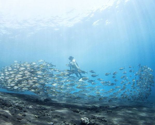 巴厘岛潜水